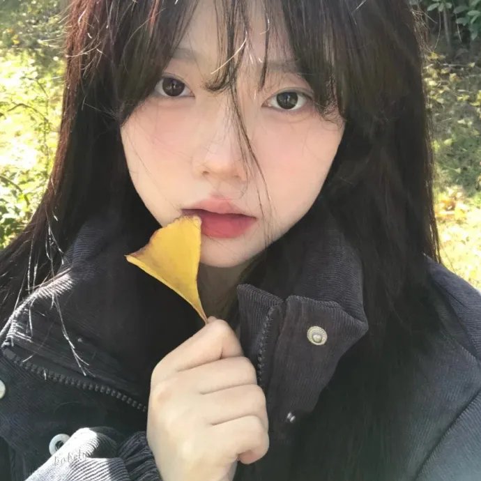 鸡